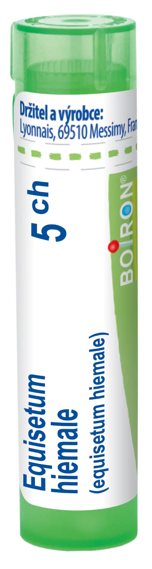 10775_EQUISETUM HIEMALE 5